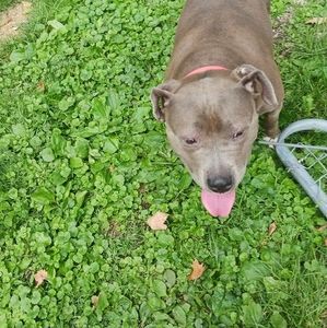 Meet your Posher, Sarahkay